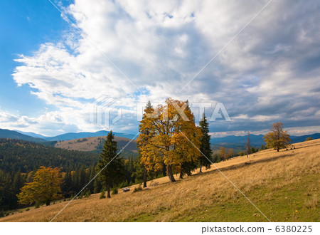 Autumn in mountain 6380225