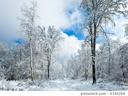 Snowbound winter earthroad 6380269
