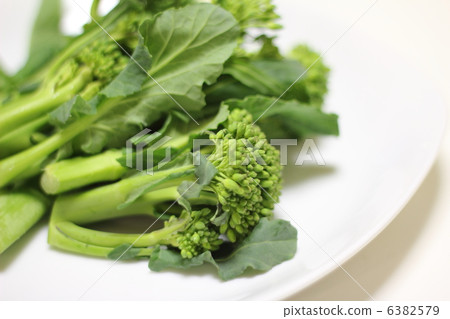 Hikokori(山口縣的新蔬菜) Hikokori(山口縣的新蔬菜) 6382579