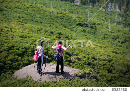Forest bathing on climbing 6382688