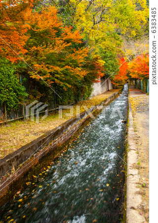 南禪寺的秋葉 6383485