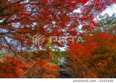 Autumn leaves of Nanzenji Autumn leaves of Nanzenji 6383486