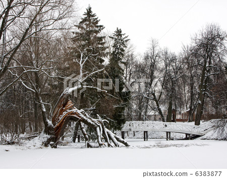 Winter landscape 6383877
