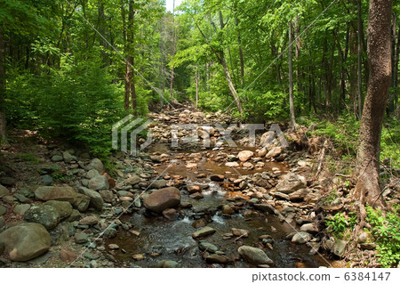 Wood river in Shenandoah National park Wood river in Shenandoah National park 6384147