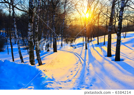 Winter park Winter park 6384214