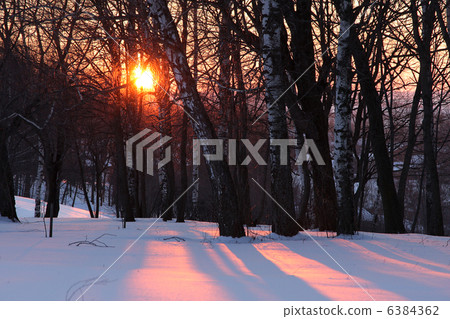 Winter sunset Winter sunset 6384362