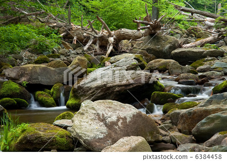 Wood river in Shenandoah National park Wood river in Shenandoah National park 6384458