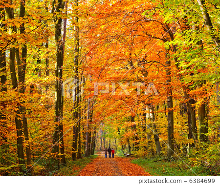 Walking in autumn park 6384699