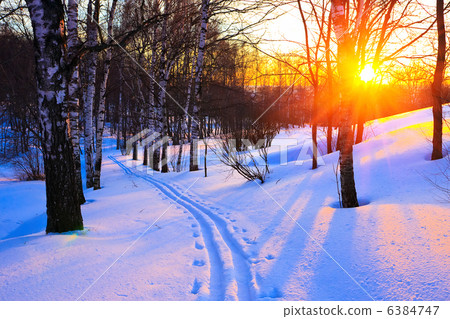 Red sunset in a winter forest 6384747