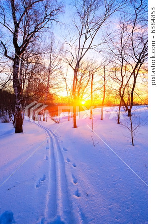 Beautiful sunset in a winter park, Russia Beautiful sunset in a winter park, Russia 6384853