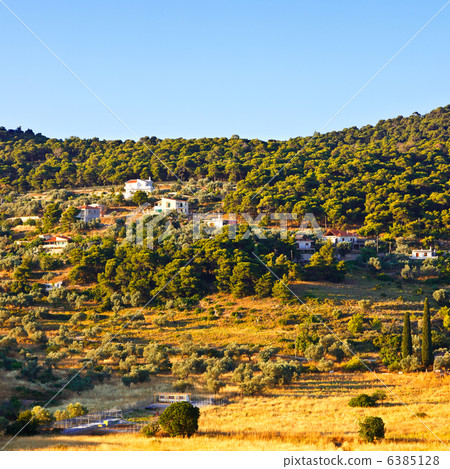 Green valley, Poros Green valley, Poros 6385128