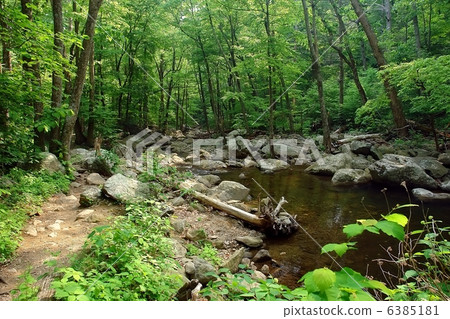 Wood river in Shenandoah National park Wood river in Shenandoah National park 6385181