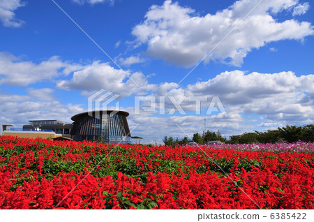 Salvia盛開的新潟市食品教育和花卉教育中心 6385422
