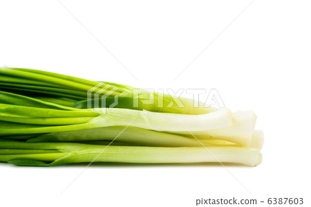 green onions isolated 6387603