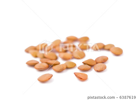 lentils isolated 6387619