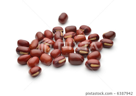 Red azuki bean white back 6387942