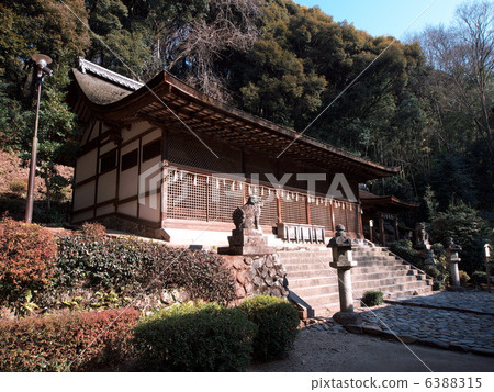 宇治神社 6388315
