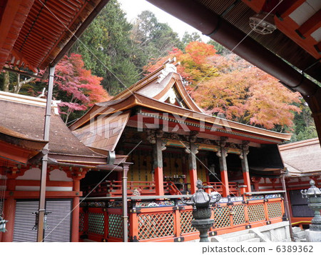 Shingsan shrine main hall 6389362