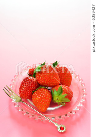 Ichigo(Tocho Tome) Ichigo(Tocho Tome) 6389427