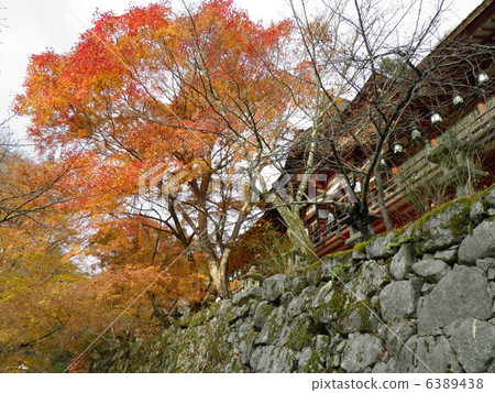 Shitsayama Shrine Worship Hall 6389438
