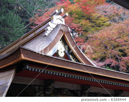 Shingsan shrine主殿 6389444