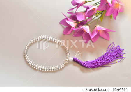 珠子(女士) 珠子(女士) 6390361