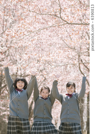 握在櫻花前面的中學學生手 6390813