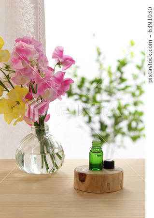 Spring window 6391030