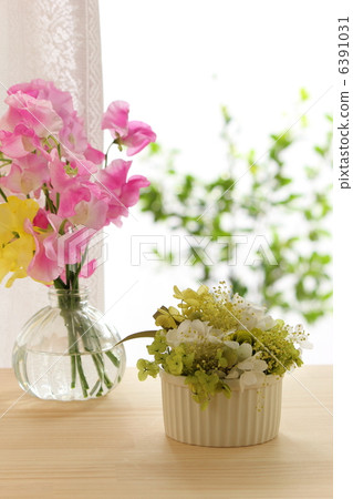 Spring window 6391031