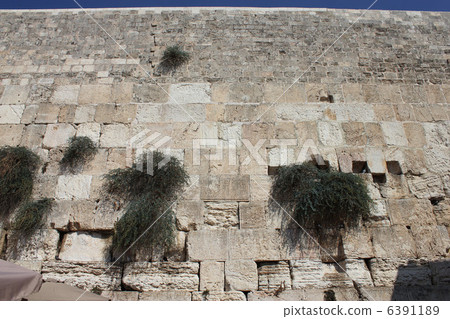 哀悼之牆 6391189