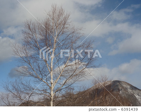 Akagi mountain in winter (1) Akagi mountain in winter (1) 6391439