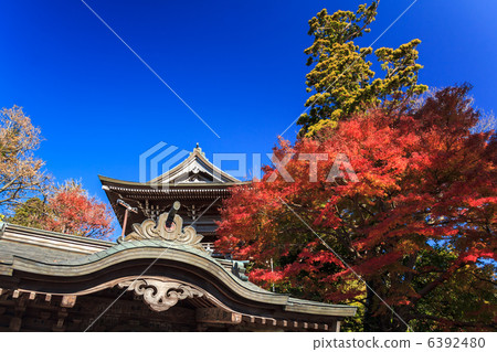 高雄保護區 高雄保護區 6392480