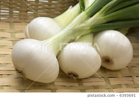 留下洋蔥 6393691