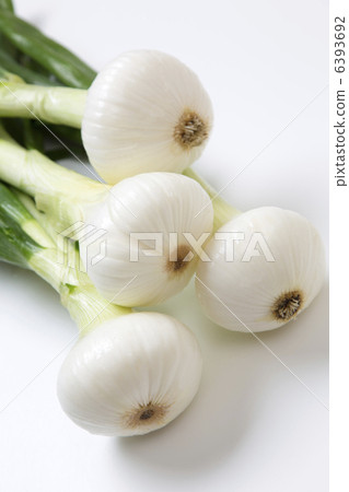 Leaves onion 6393692
