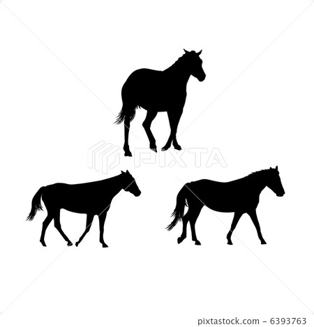 Horse silhouette Horse silhouette 6393763
