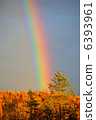 Autumn rainbow 6393961