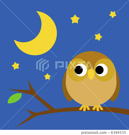 夜貓子 夜貓子 6394535