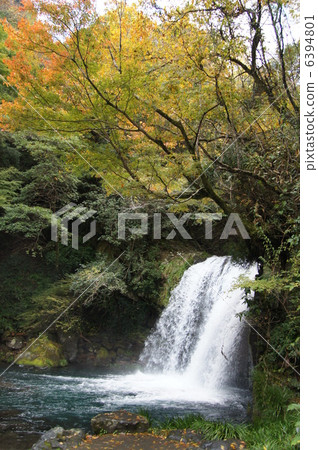 Early Fall of autumn leaves Early Fall of autumn leaves 6394801