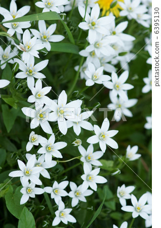 它被稱為Ohnisogaram。 6395130