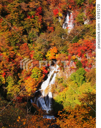 秋葉霧秋天瀑布 6395270