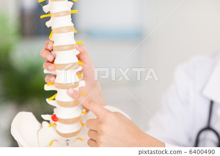 Finger pointing at bone in spine Finger pointing at bone in spine 6400490