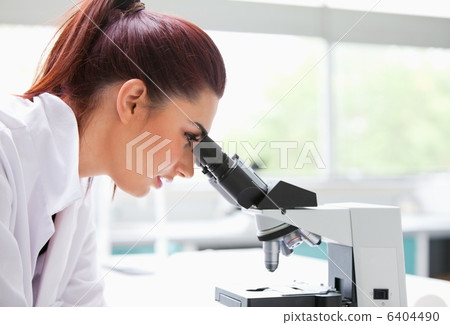 Brunette looking into a microscope Brunette looking into a microscope 6404490