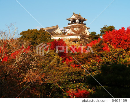 Kochi Castle in autumnal leaves 6405469