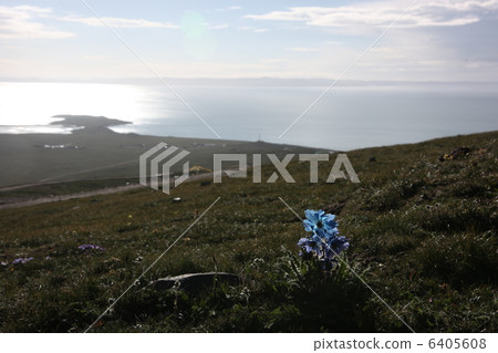 玲玲湖和藍色的尖叫聲 6405608