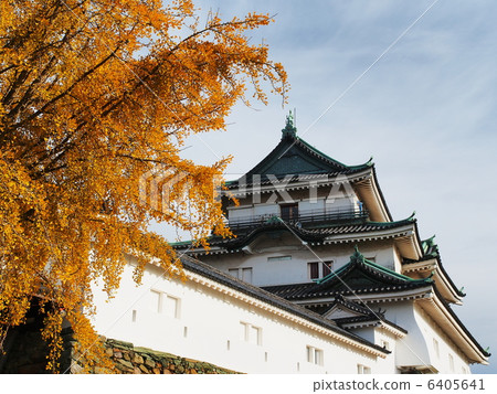 和歌山城堡在秋天 6405641