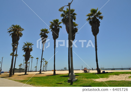 USA California Venice Beach blue sky, beach and palm tree USA California Venice Beach blue sky, beach and palm tree 6405726