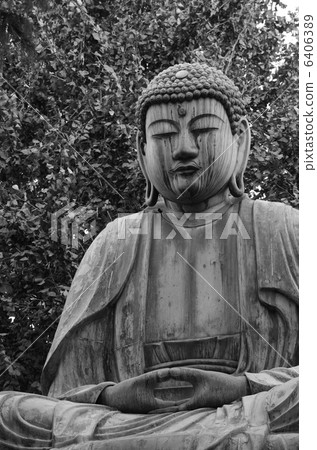 Shaka Nyorai sitting statue 6406389