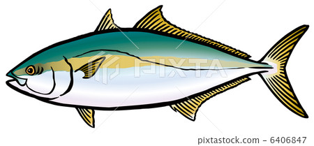 黃尾魚 黃尾魚 6406847