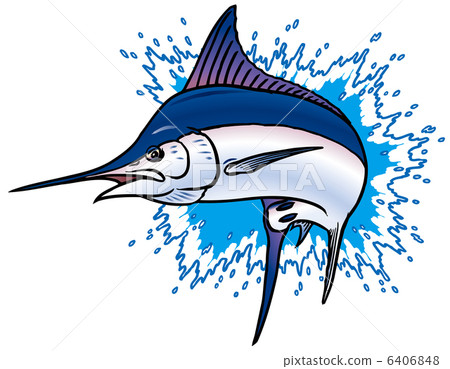Splash Merlin 6406848
