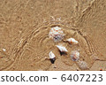different seashells on a beach sand, 6407223